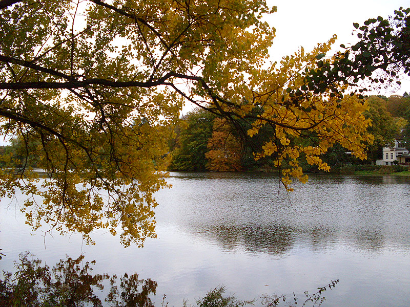 Muehlenteich Reinbek - Herbst Bilder