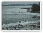 Elbe Hamburg