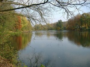 Muehlenteich vor dem Schloss Reinbek