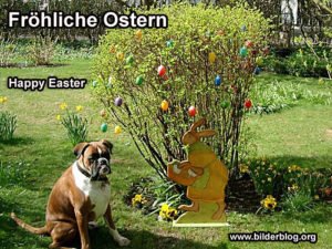 Froehliche Ostern – Happy Easter