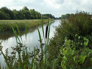 Ostfriesland – Kanal bei Rhauderfehn